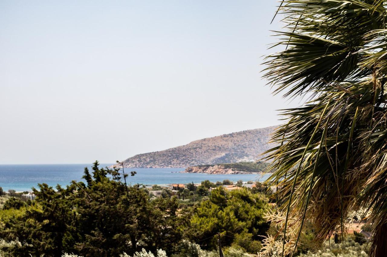 Villa Sounio Sounion Exteriér fotografie